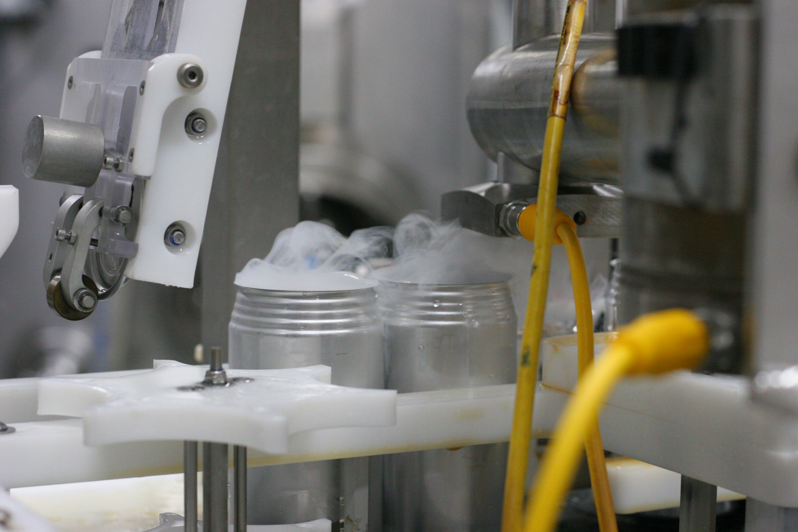 Vitalitea's Cold Brew Innovation: Freshness Without Compromise