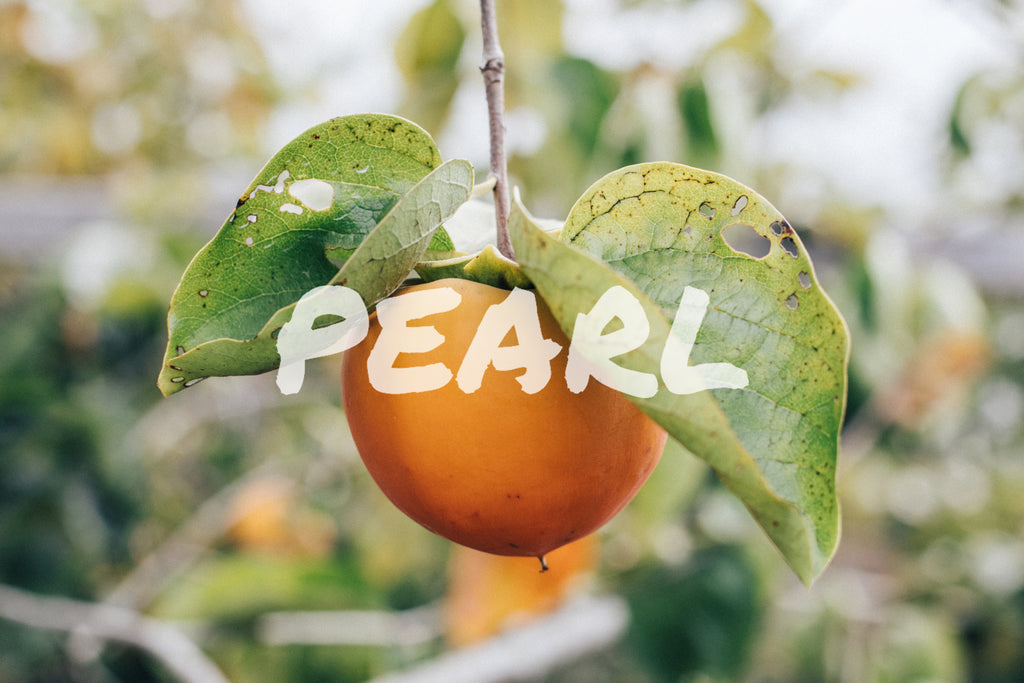 PEARL NOW AVAILABLE IN THE BOOCH BOX